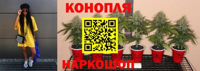 прущая мука Гусев