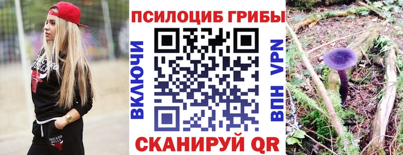 Галлюциногенные грибы прущие грибы  мориарти клад  Юрга 
