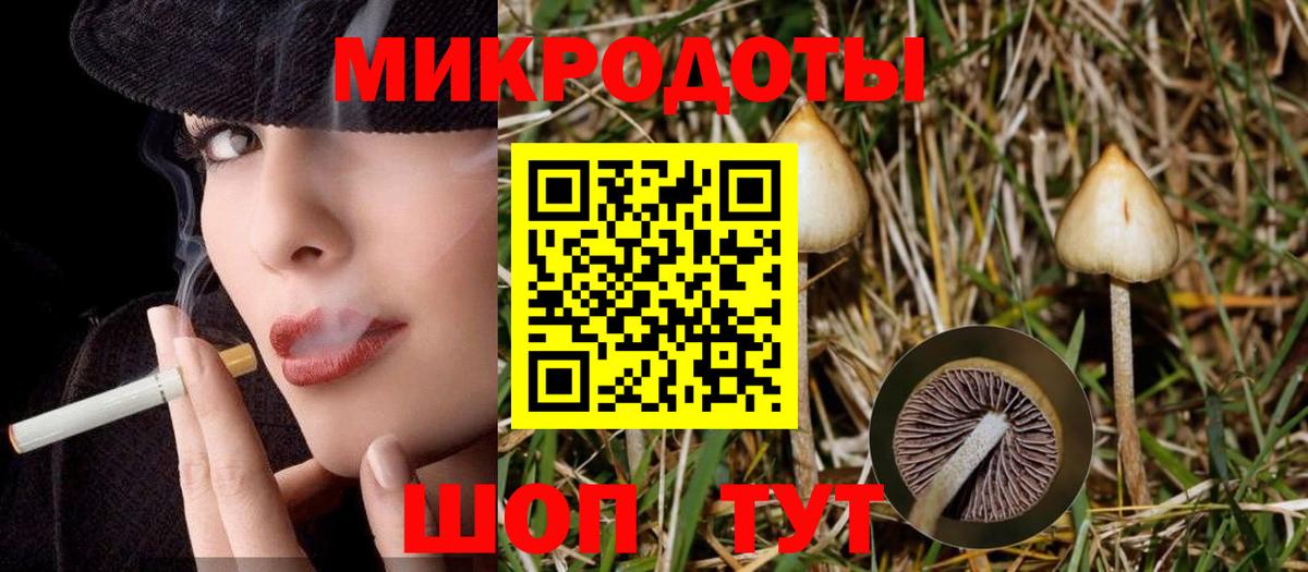 Юрга  Галлюциногенные грибы прущие грибы  Вход с VPN  как найти закладки  Галлюциногенные грибы Psilocybine cubensis 