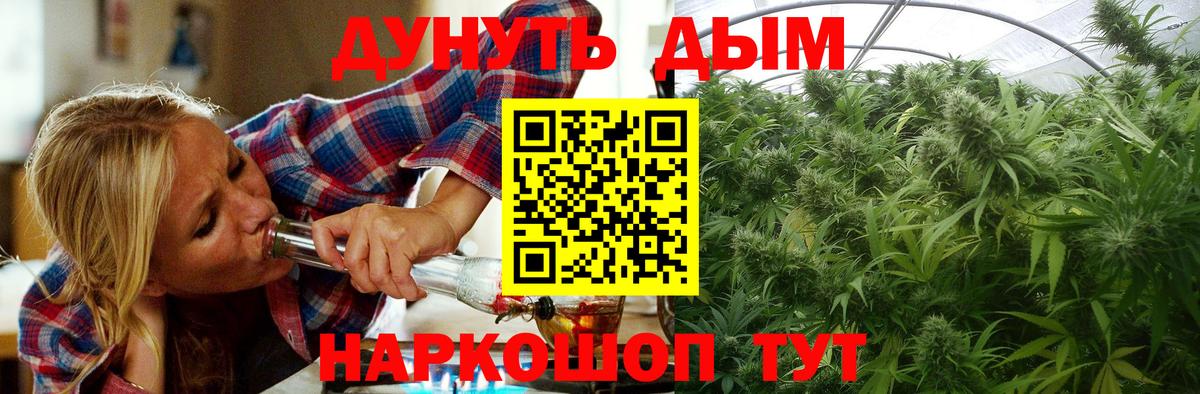 Каннабис White Widow  Вход с VPN  МАРИХУАНА Bruce Banner  Юрга  Марихуана конопля 